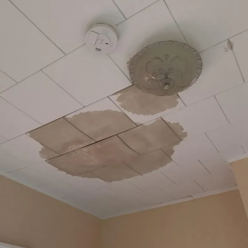 Ceiling Water Damage Repair in Blacklick Estates, OH